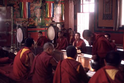 Swyambhu gompa, © D. K. Bingham