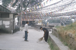 prayer flags, © D. K. Bingham