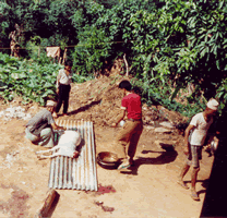 goat sacrifice, © D. J. Cibrario