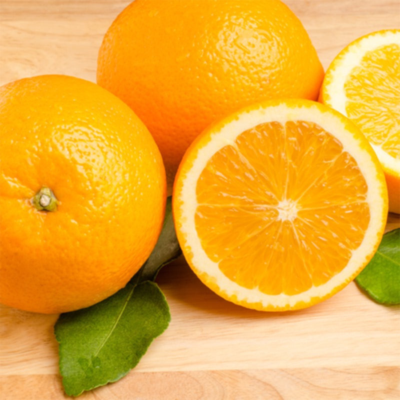 Cara Cara Navel Orange Tree